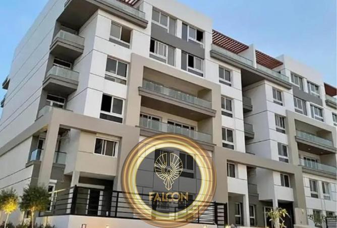 61924800 - Property Image 3