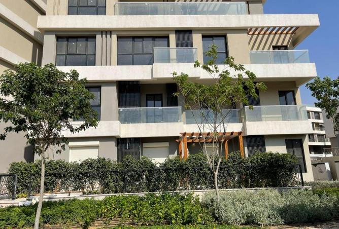 56504540 - Property Image 3