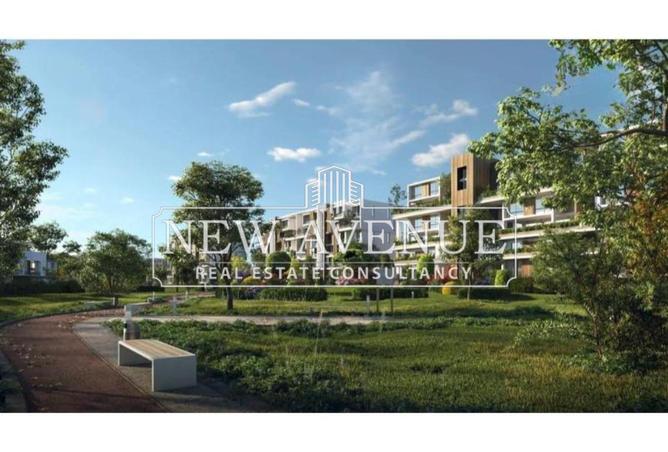 64638228 - صورة العقار 2