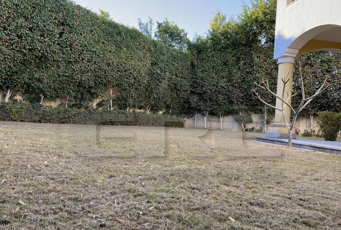 64640234 - صورة العقار 2