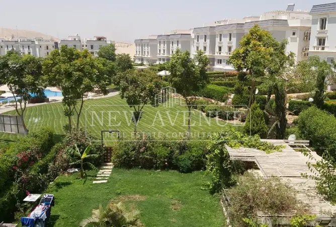 113256489 - صورة العقار 2