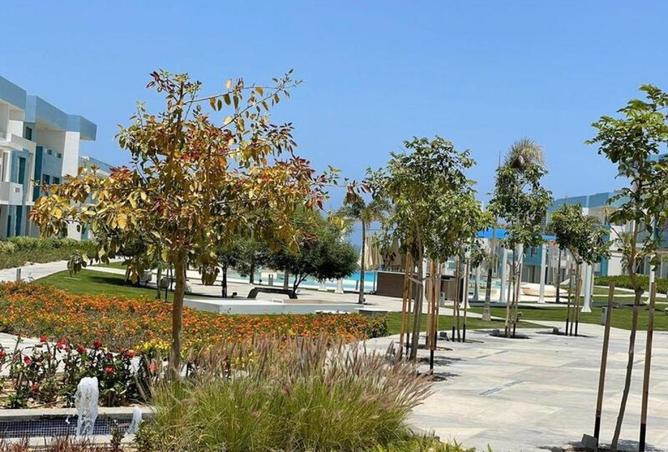 64891584 - صورة العقار 2