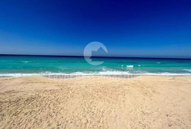 69575177 - صورة العقار 2