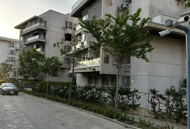 114611800 - Property Image 3
