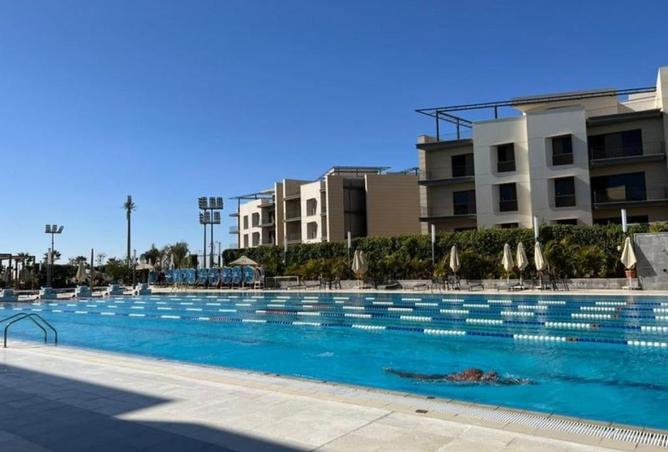 59492954 - Property Image 3