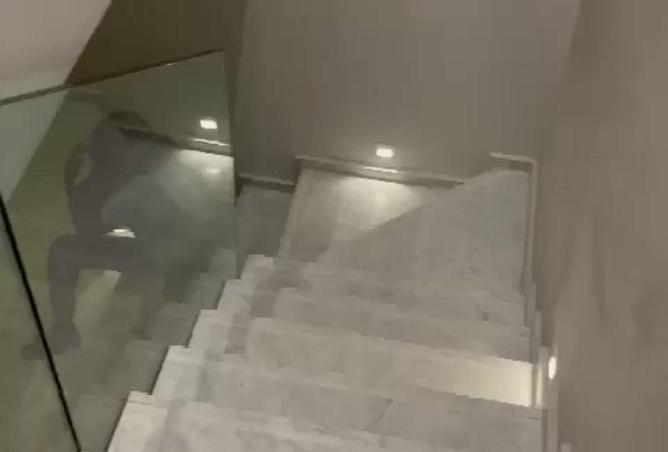 52717002 - Property Image 2