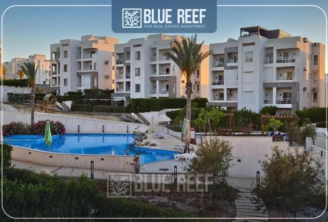 68788166 - صورة العقار 3