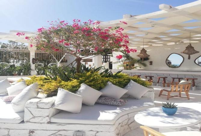 66949343 - صورة العقار 3