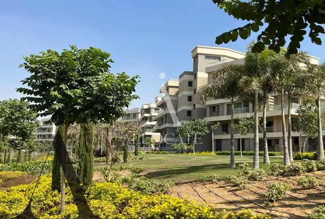 83670364 - Property Image 3