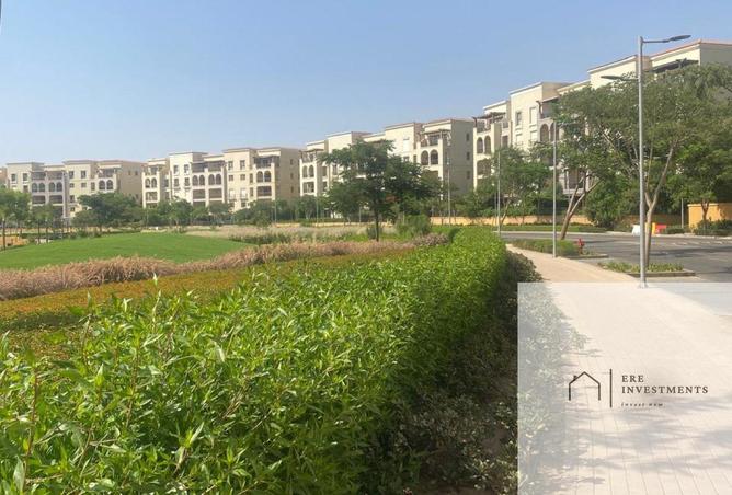 74578486 - Property Image 3