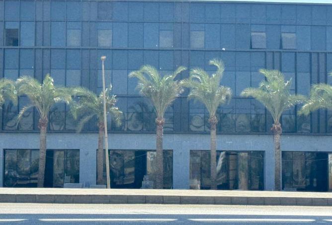 8626225 - Property Image 3