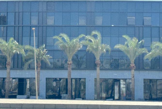 8626225 - Property Image 2