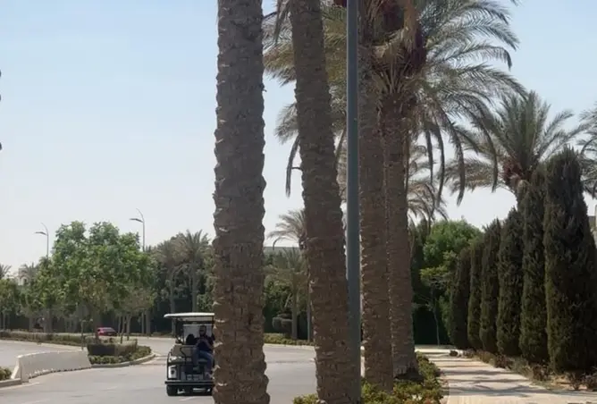 109630367 - صورة العقار 2