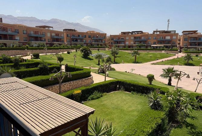 57496066 - Property Image 3