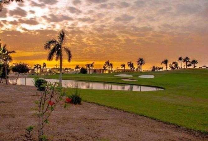 54495614 - صورة العقار 3