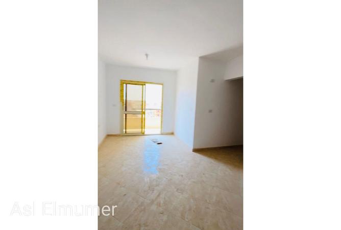 71911711 - Property Image 2