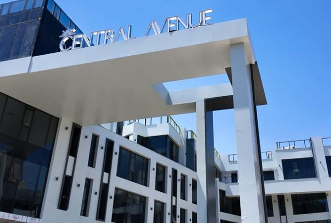 57998902 - صورة العقار 3