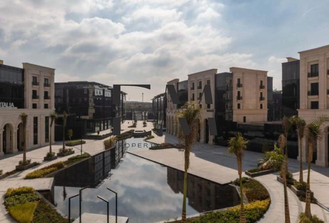 64650428 - Property Image 3