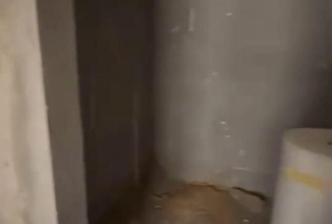 64903259 - صورة العقار 2