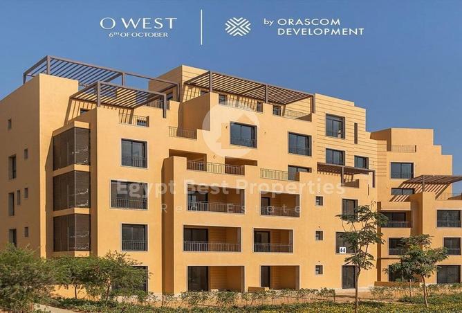 53985494 - Property Image 3