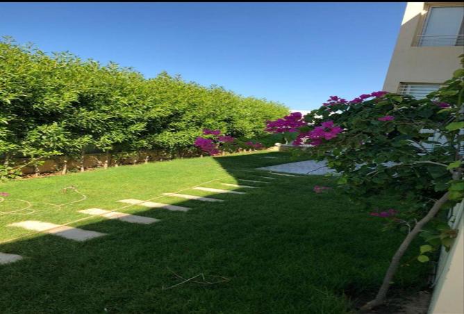 83400520 - صورة العقار 2
