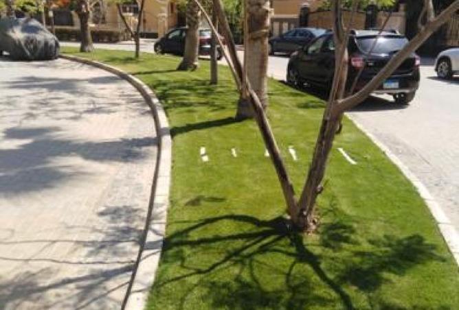 8636728 - Property Image 3