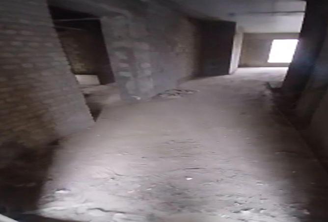 55507583 - صورة العقار 3