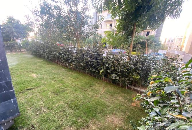 56498121 - صورة العقار 3