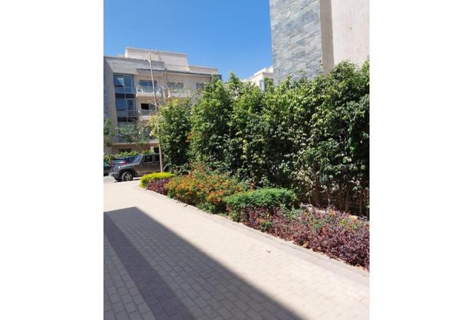 68791424 - صورة العقار 2