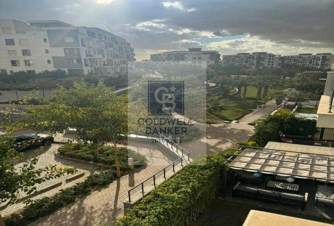 56501387 - Property Image 3