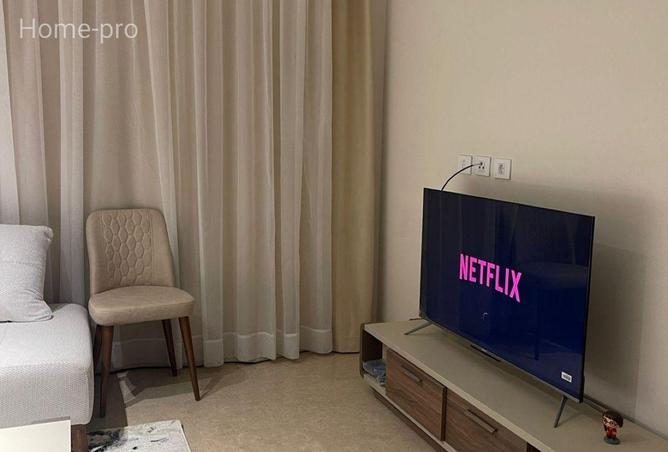 58495511 - Property Image 3