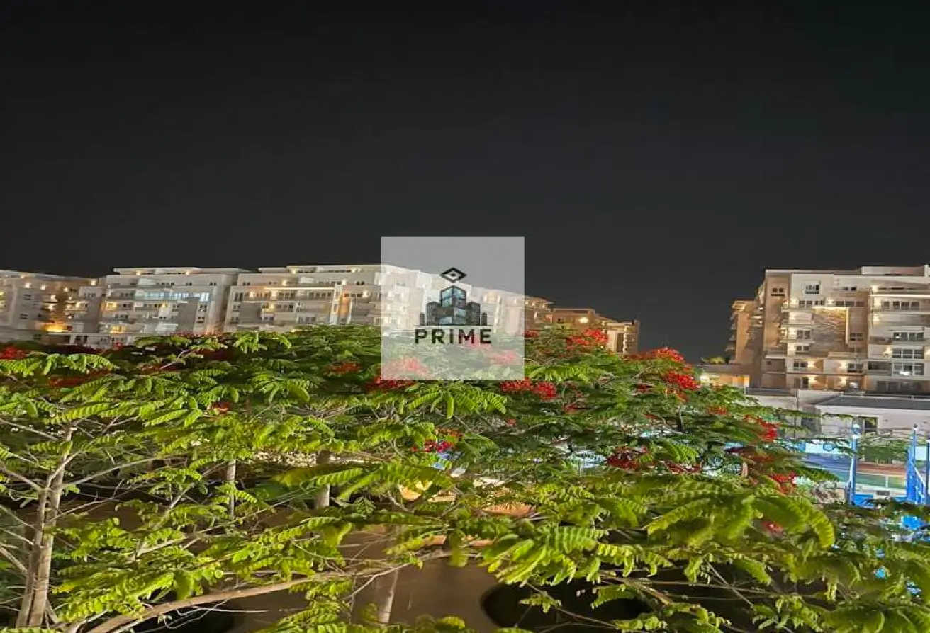 117277582 - الصورة الرئيسية للعقار