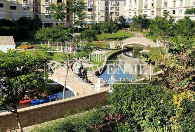 53976851 - صورة العقار 3