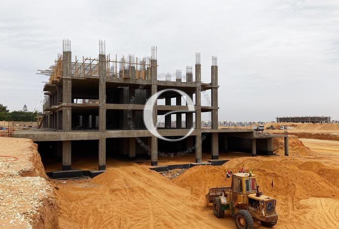 81319032 - Property Image 2