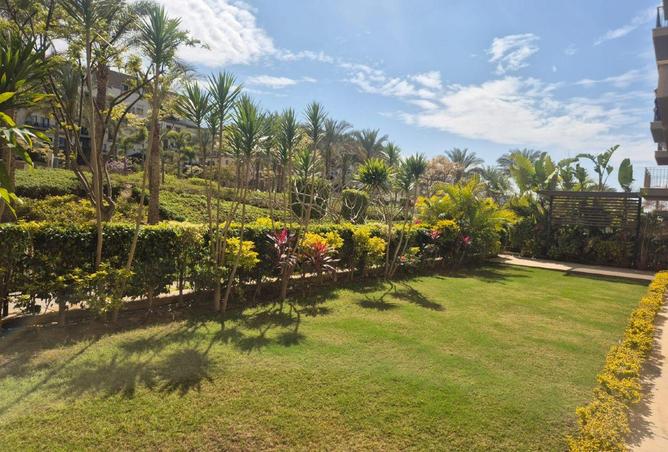 65910827 - صورة العقار 3