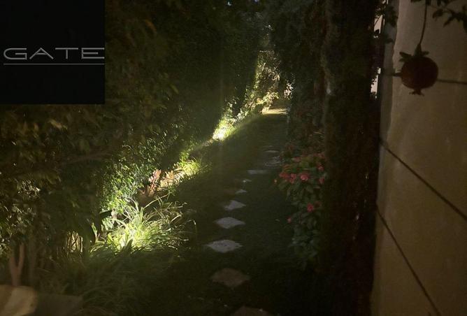 53722424 - صورة العقار 3