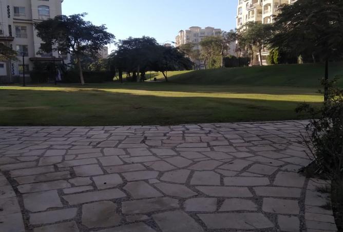 8507906 - Property Image 3