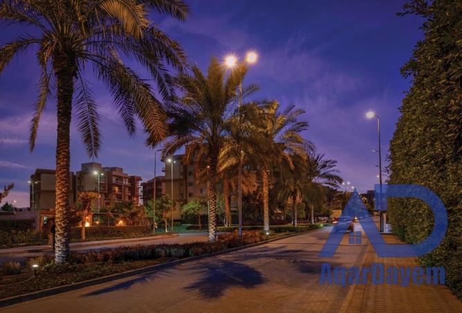 63391231 - Property Image 3