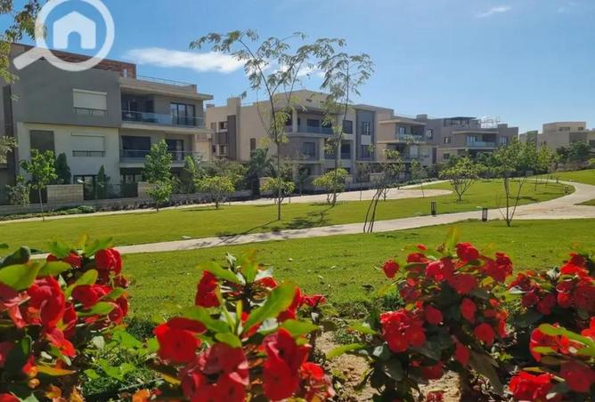 55753823 - صورة العقار 2