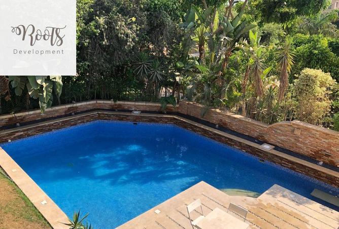 66687575 - صورة العقار 3