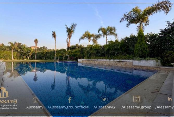 58735582 - صورة العقار 3