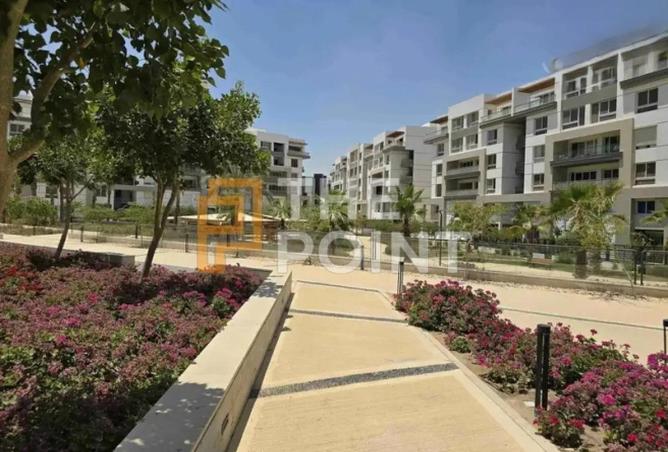 53988536 - Property Image 2