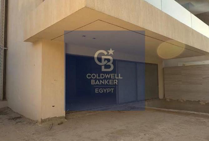 97719983 - Property Image 3