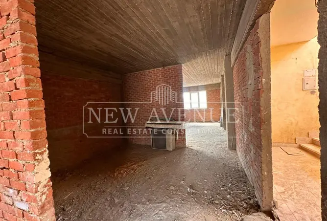 113264505 - Property Image 3