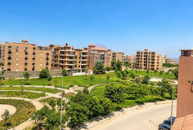 120247593 - صورة العقار 3