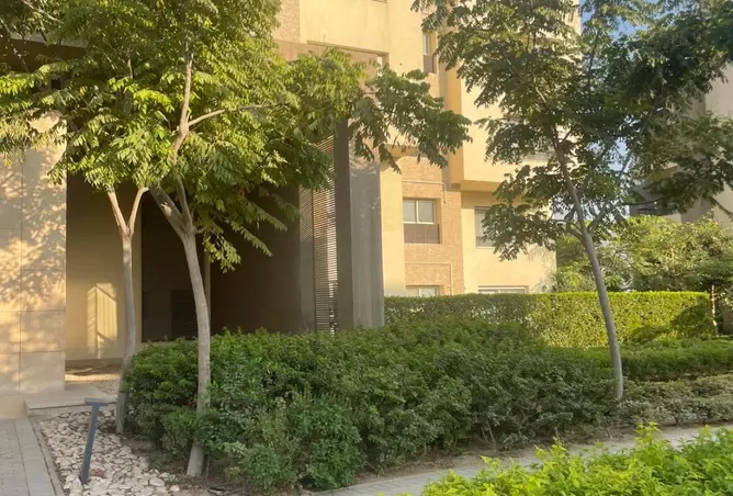 112983581 - صورة العقار 3