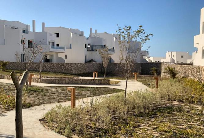 8491358 - صورة العقار 2