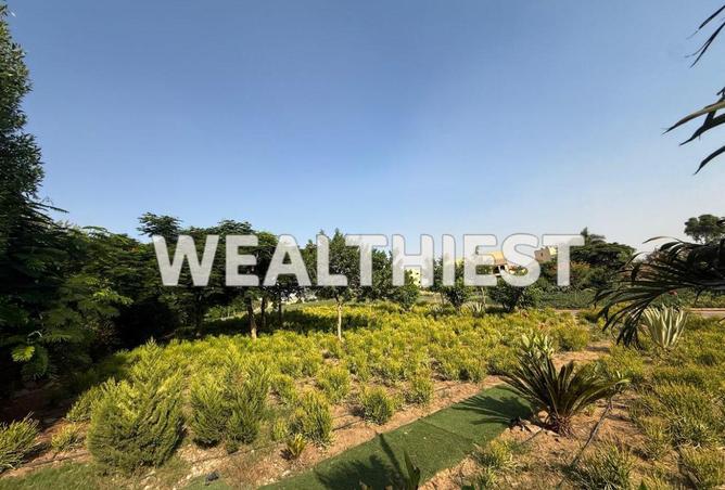 8587649 - صورة العقار 3