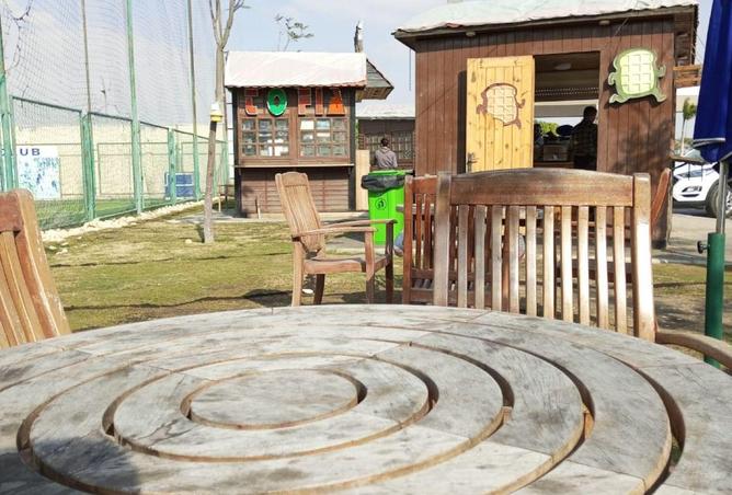 8641554 - Property Image 3