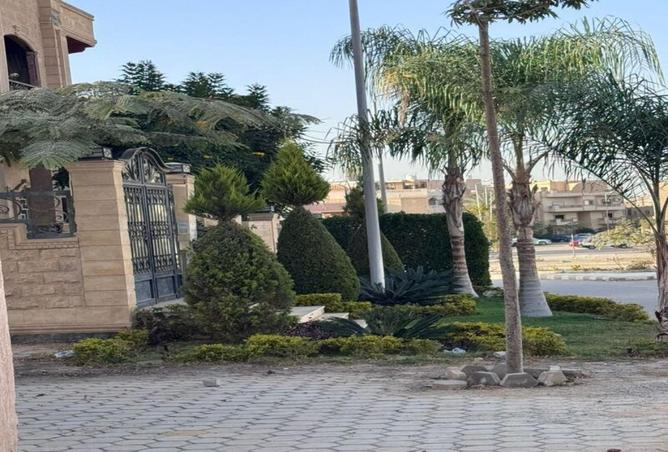 8694068 - صورة العقار 3